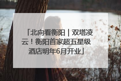 北向看衡阳｜双塔凌云！衡阳首家超五星级酒店明年6月开业