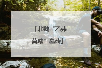 北魏“乙弗莫瓌”墓砖