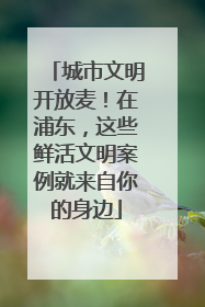城市文明开放麦！在浦东，这些鲜活文明案例就来自你的身边