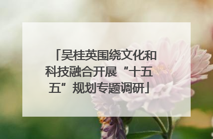 吴桂英围绕文化和科技融合开展“十五五”规划专题调研