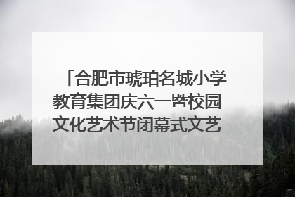 合肥市琥珀名城小学教育集团庆六一暨校园文化艺术节闭幕式文艺汇演圆满举行