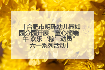 合肥市明珠幼儿园如园分园开展“童心撞端午 欢乐‘粽’动员”六一系列活动