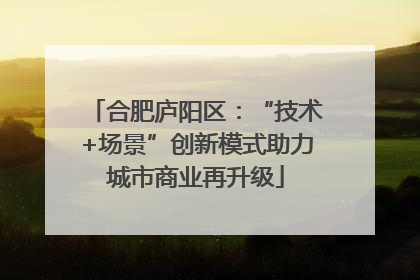 合肥庐阳区：“技术+场景”创新模式助力城市商业再升级