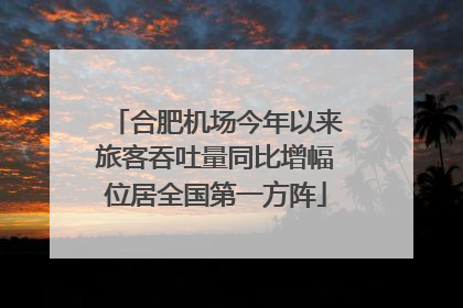 合肥机场今年以来旅客吞吐量同比增幅位居全国第一方阵