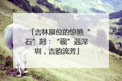 吉林展位的惊艳“石”刻：“砚”遇深圳，吉韵流芳