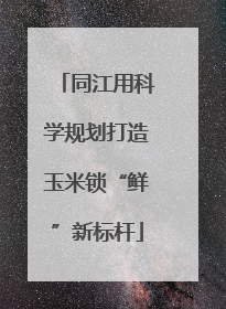 同江用科学规划打造玉米锁“鲜”新标杆