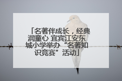 名著伴成长，经典润童心 宜宾江安东城小学举办“名著知识竞赛”活动
