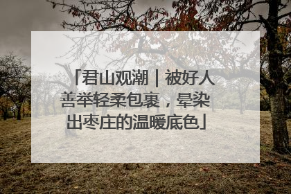 君山观潮｜被好人善举轻柔包裹，晕染出枣庄的温暖底色