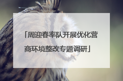 周迎春率队开展优化营商环境整改专题调研
