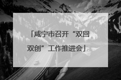 咸宁市召开“双回双创”工作推进会