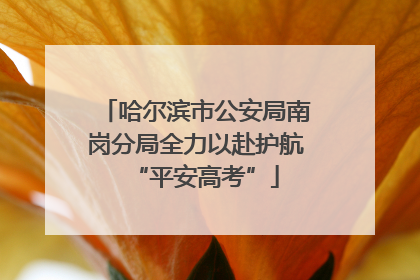哈尔滨市公安局南岗分局全力以赴护航“平安高考”