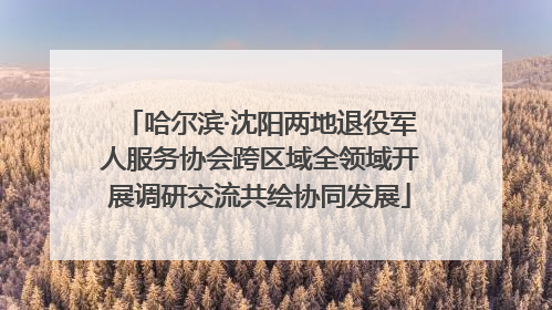 哈尔滨·沈阳两地退役军人服务协会跨区域全领域开展调研交流共绘协同发展