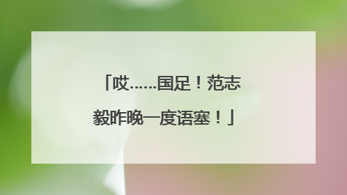 哎……国足！范志毅昨晚一度语塞！