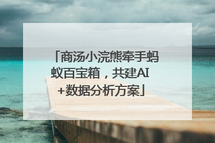 商汤小浣熊牵手蚂蚁百宝箱，共建AI+数据分析方案
