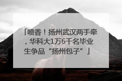 喷香！扬州武汉两手牵，华科大1万6千名毕业生争品“扬州包子”