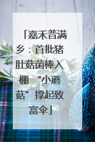 嘉禾普满乡：首批猪肚菇菌棒入棚 “小蘑菇”撑起致富伞