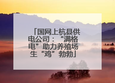 国网上杭县供电公司：“满格电”助力养殖场生“鸡”勃勃