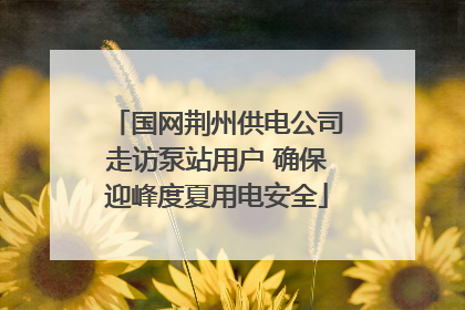 国网荆州供电公司走访泵站用户 确保迎峰度夏用电安全