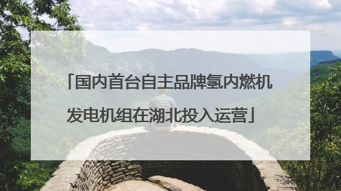 国内首台自主品牌氢内燃机发电机组在湖北投入运营