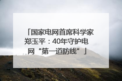 国家电网首席科学家郑玉平：40年守护电网“第一道防线”