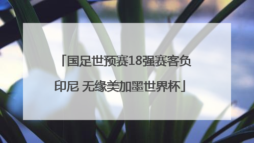国足世预赛18强赛客负印尼 无缘美加墨世界杯