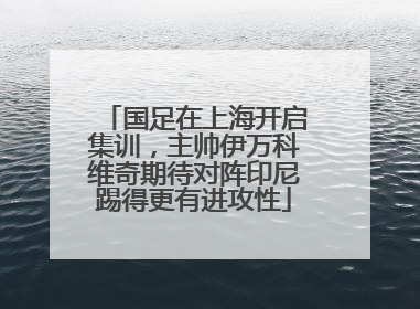 国足在上海开启集训，主帅伊万科维奇期待对阵印尼踢得更有进攻性