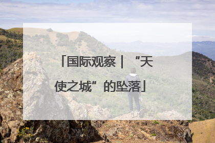 国际观察｜“天使之城”的坠落