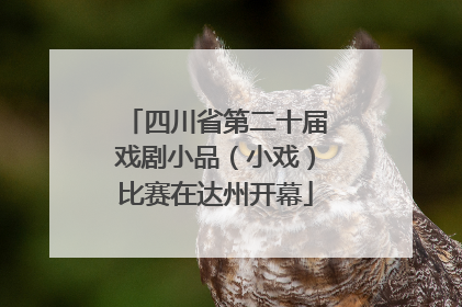 四川省第二十届戏剧小品（小戏）比赛在达州开幕