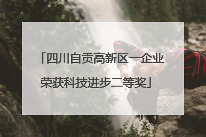 四川自贡高新区一企业荣获科技进步二等奖