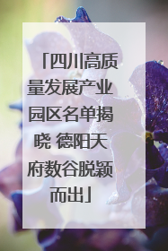四川高质量发展产业园区名单揭晓 德阳天府数谷脱颖而出