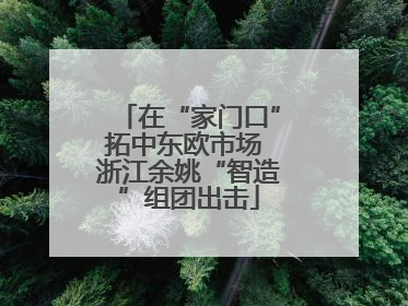 在“家门口”拓中东欧市场 浙江余姚“智造”组团出击