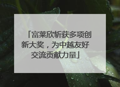 富莱欣斩获多项创新大奖，为中越友好交流贡献力量