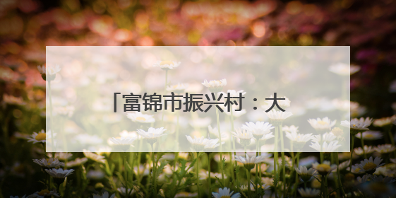 富锦市振兴村：大垄密植+全程托管走出增收新路径