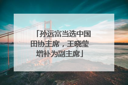 孙远富当选中国田协主席，王晓莹增补为副主席