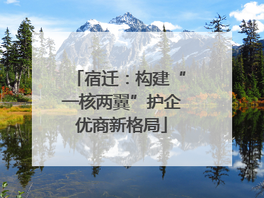 宿迁：构建“一核两翼”护企优商新格局
