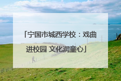 宁国市城西学校：戏曲进校园 文化润童心