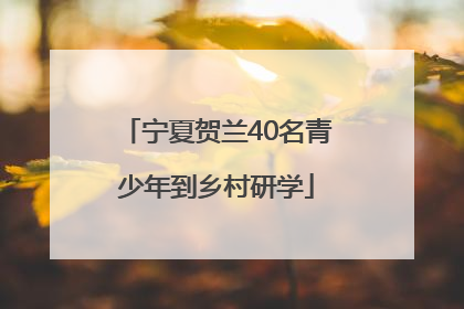 宁夏贺兰40名青少年到乡村研学