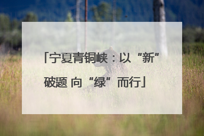 宁夏青铜峡：以“新”破题 向“绿”而行