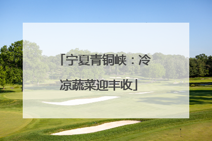 宁夏青铜峡：冷凉蔬菜迎丰收