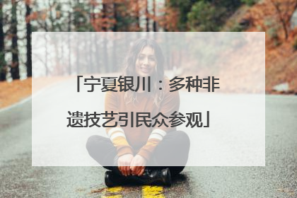 宁夏银川：多种非遗技艺引民众参观