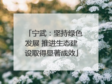 宁武：坚持绿色发展 推进生态建设取得显著成效