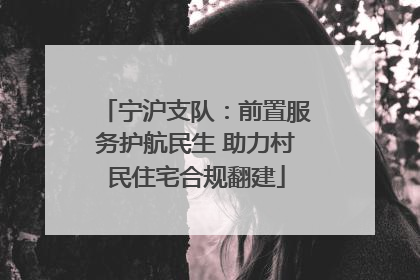 宁沪支队：前置服务护航民生 助力村民住宅合规翻建