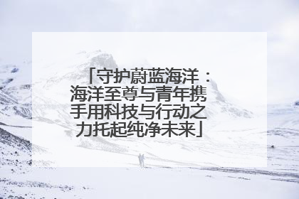 守护蔚蓝海洋：海洋至尊与青年携手用科技与行动之力托起纯净未来