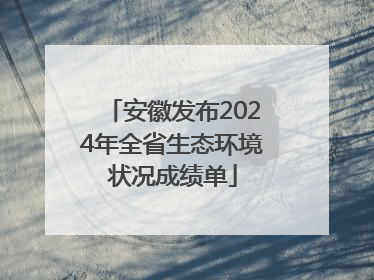 安徽发布2024年全省生态环境状况成绩单