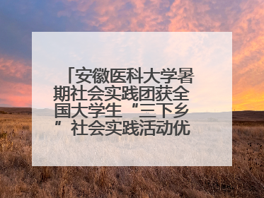 安徽医科大学暑期社会实践团获全国大学生“三下乡”社会实践活动优秀团队