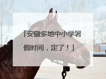 安徽多地中小学暑假时间，定了！