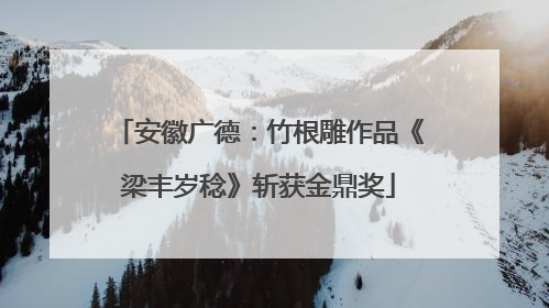 安徽广德：竹根雕作品《梁丰岁稔》斩获金鼎奖