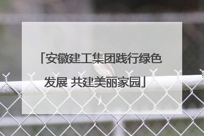 安徽建工集团践行绿色发展 共建美丽家园