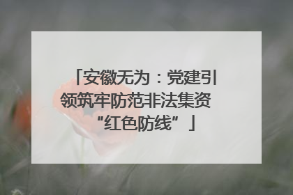 安徽无为：党建引领筑牢防范非法集资“红色防线”