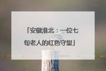 安徽淮北：一位七旬老人的红色守望